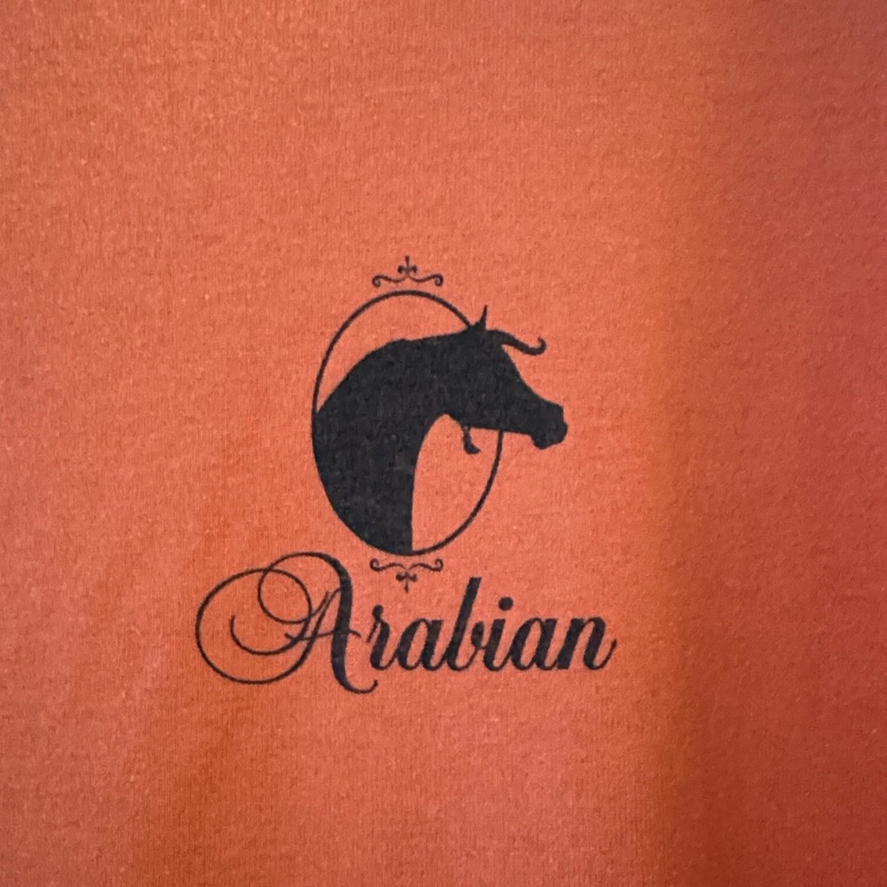 🐴Horse/Equestrian/Arabian Bundle🐴 - Picture 7 of 13